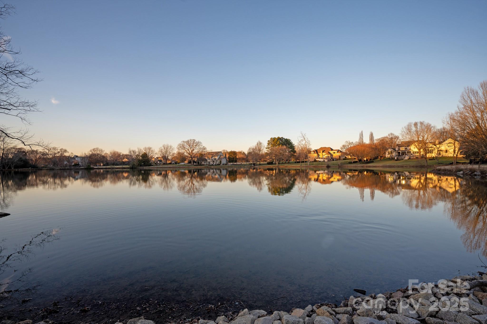 424 Fairhaven Court Waxhaw, NC 28173 - Photo 5 of 46