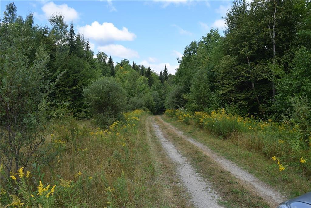 R11-l36 Shin Pond Road Patten, ME 04765 - Photo 13 of 30 More road area...