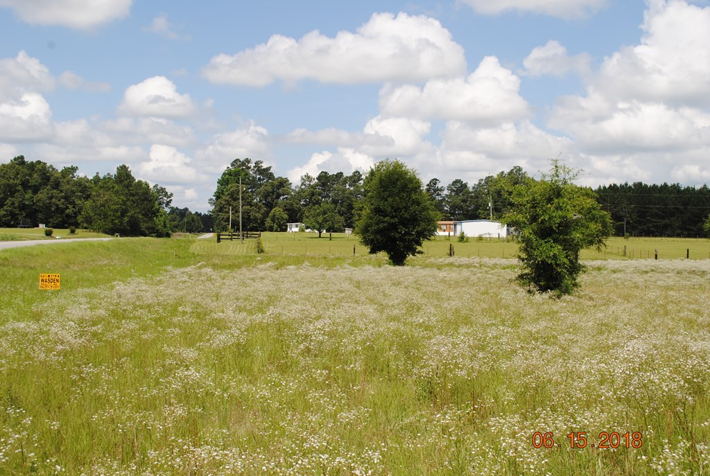 4646 Highway 102 Stapleton, GA 30823 - Photo 2 of 4 Gallery Image 2