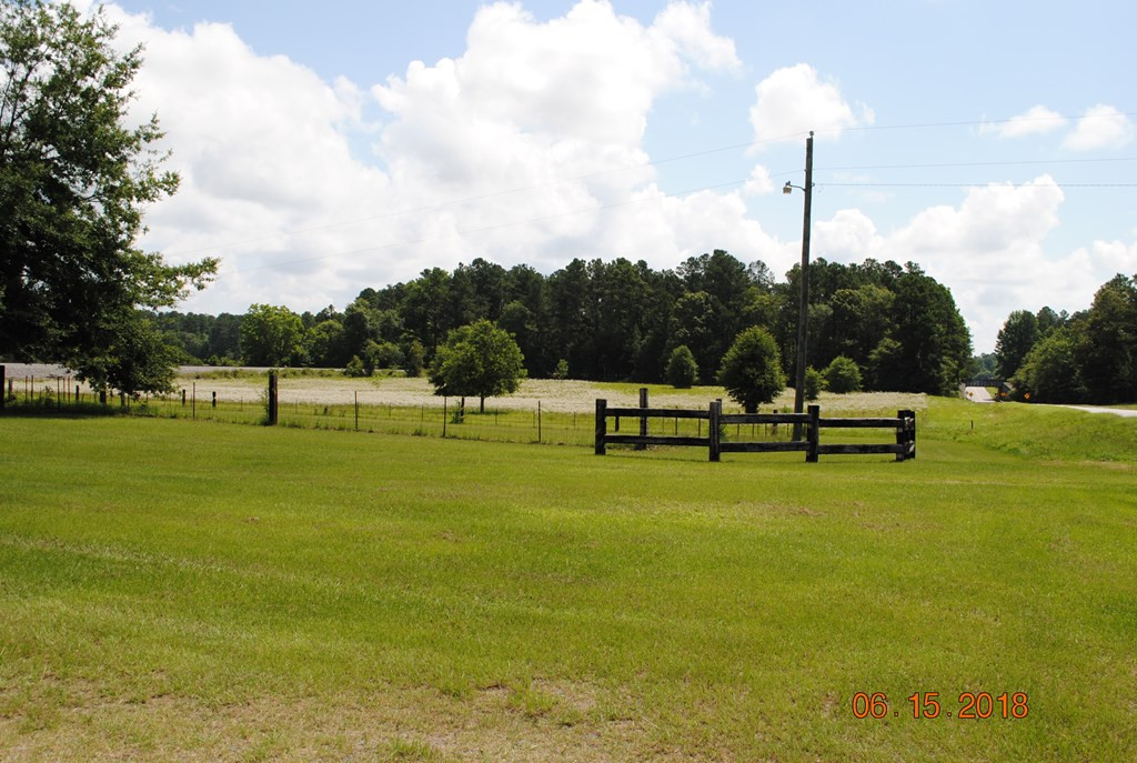 4646 Highway 102 Stapleton, GA 30823 - Photo 3 of 4 Gallery Image 3