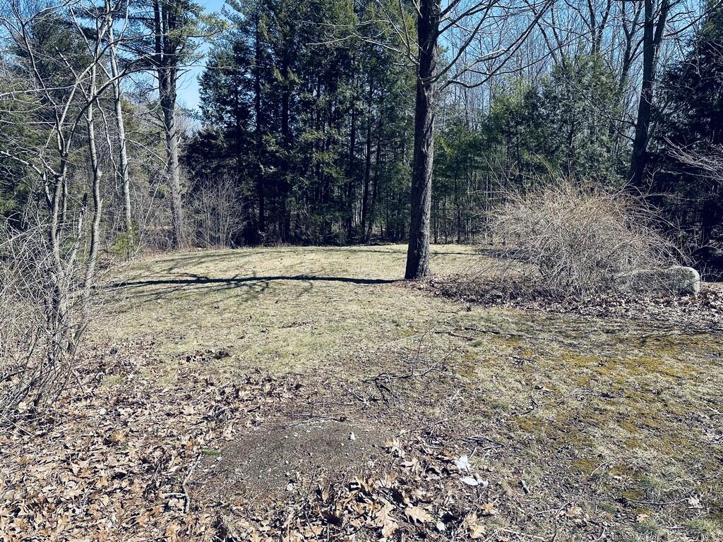 4 Inner Circle Biddeford, ME 04005 - Photo 23 of 25 back yard (Copy)