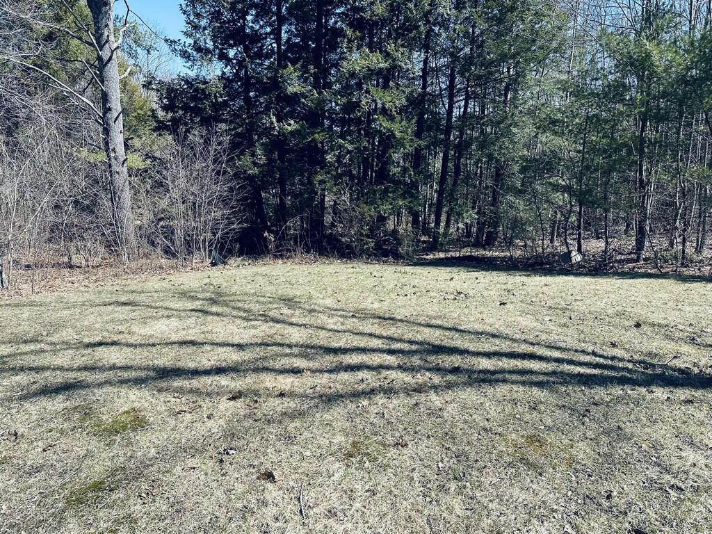 4 Inner Circle Biddeford, ME 04005 - Photo 25 of 25 backyard right (Copy)