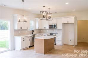 3045 Swallowtail Lane Kannapolis, NC 28083 - Photo 8 of 27