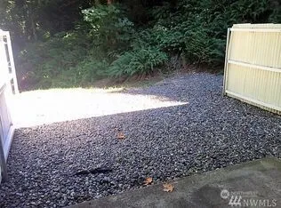 a view of a forest with lots of trees