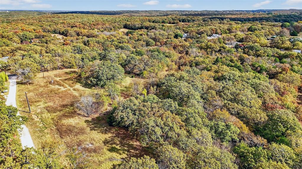 9-ac Locust Road Pottsboro, TX 75076 - Photo 14 of 21 a view of a yard
