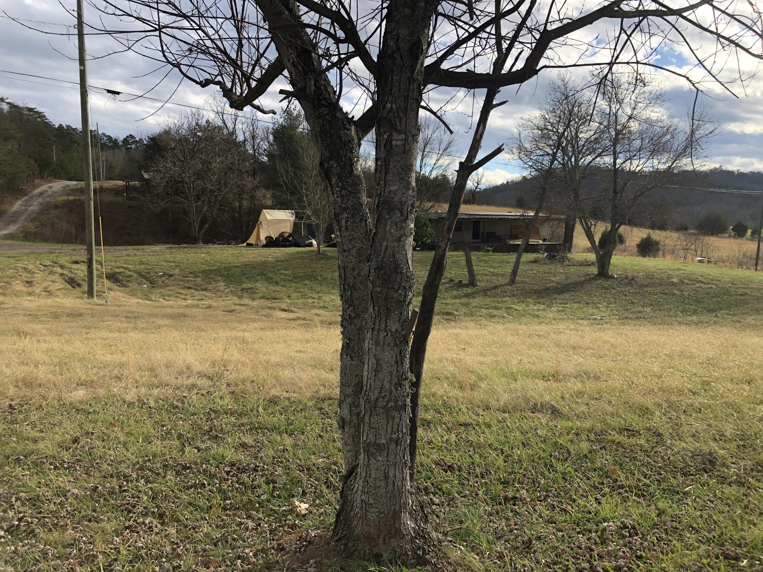 190 Harrison Road Greeneville, TN 37743 - Photo 2 of 9 4100FB0A-DBA8-43DB-B04E-0672D437AD23