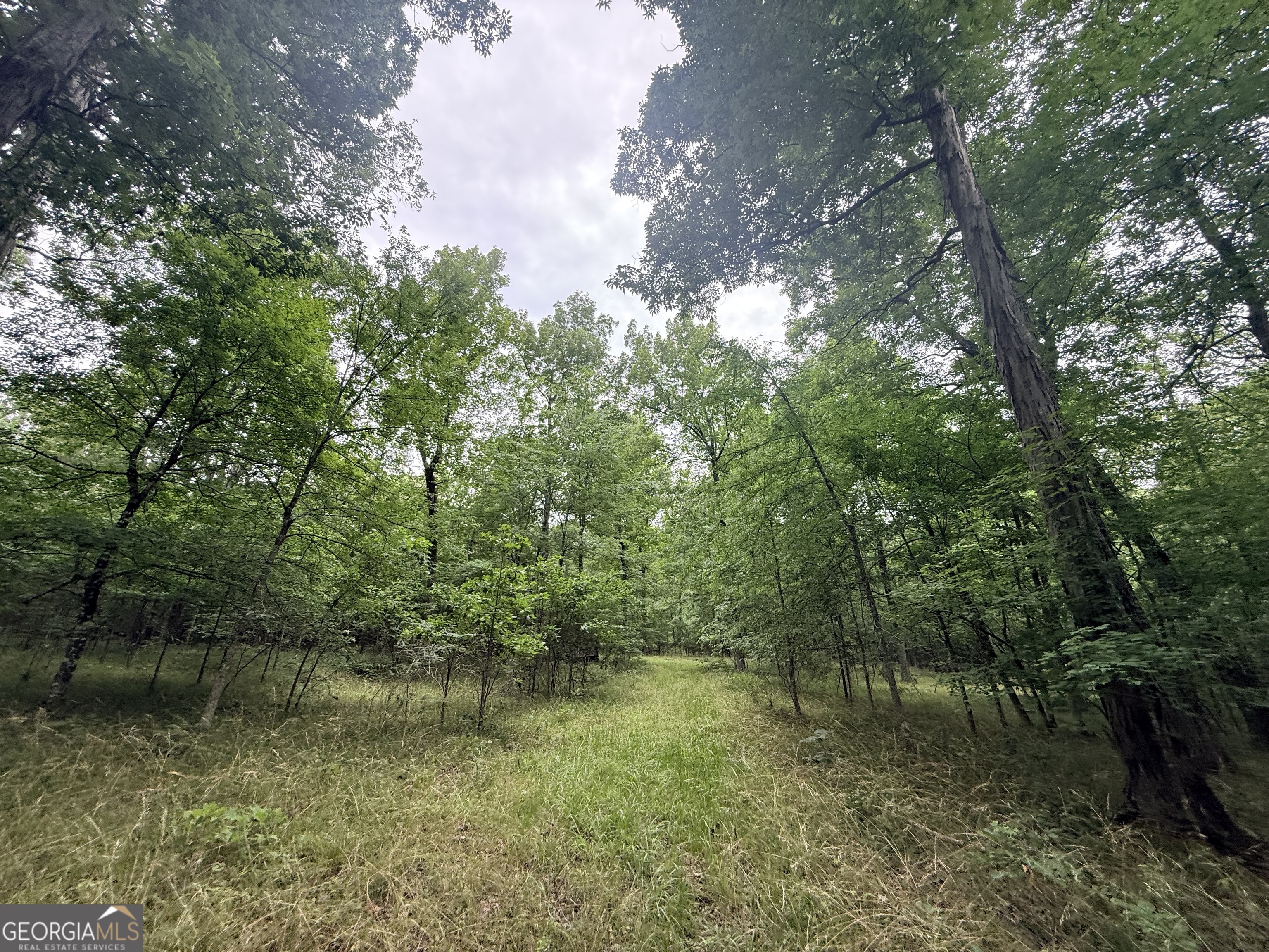 1 Bethesda Church Road Lexington, GA 30648 - Photo 20 of 78