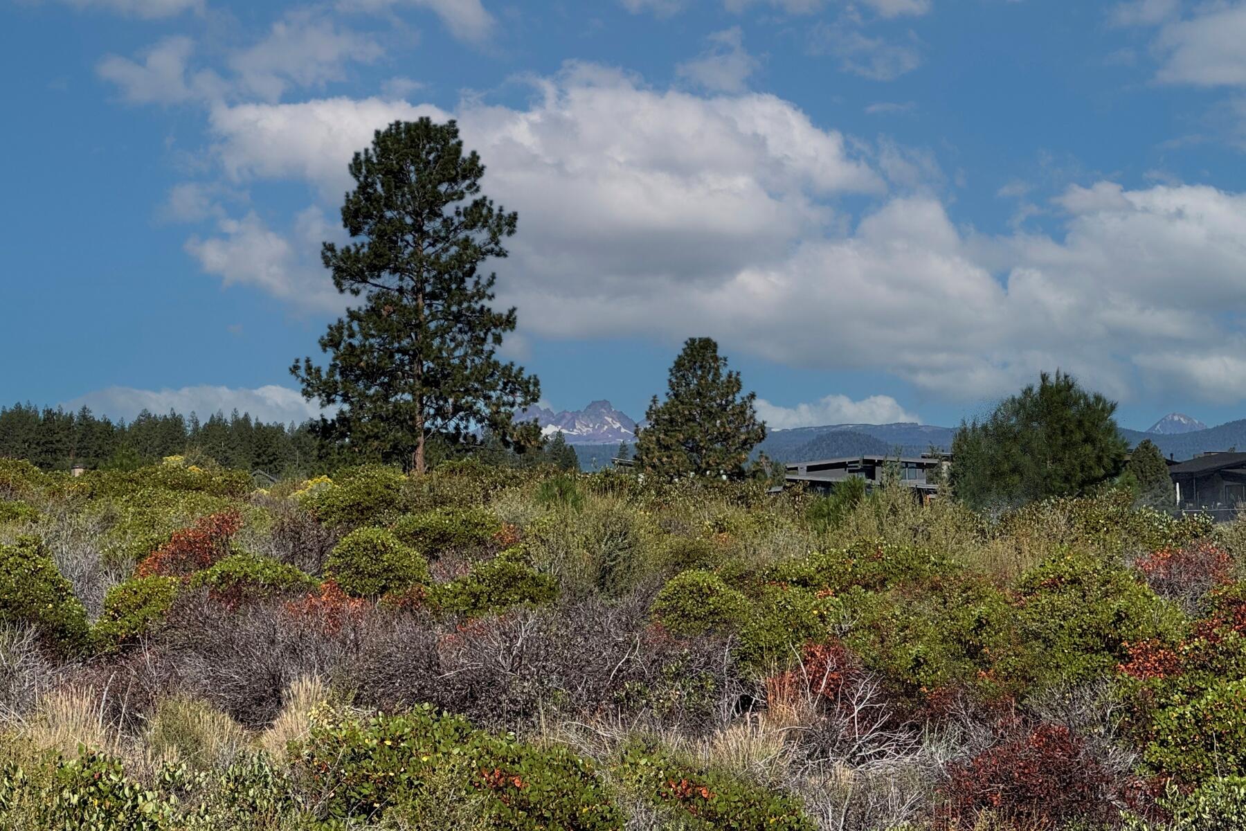 61347 Triple Knot Road Bend, OR 97702 - Photo 4 of 44 batch_05