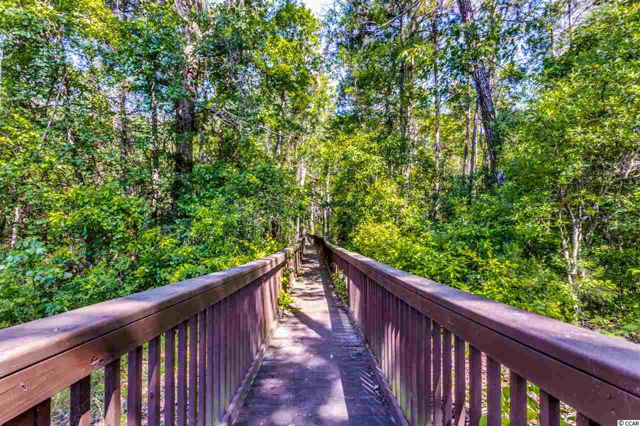 Lot 163 Chamberlain Road Myrtle Beach, SC 29588 - Photo 2 of 21 Gallery Image 2
