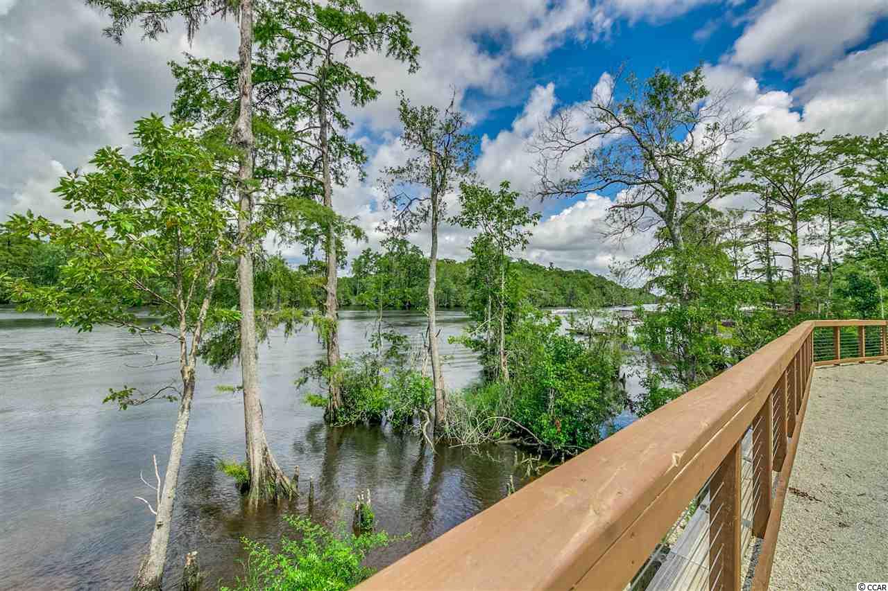 Lot 163 Chamberlain Road Myrtle Beach, SC 29588 - Photo 11 of 21 Gallery Image 11