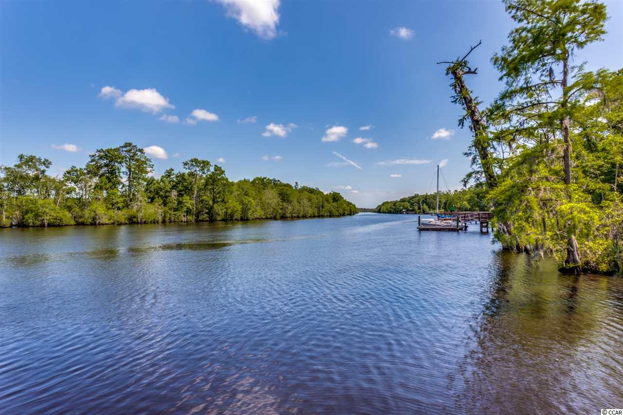 Lot 163 Chamberlain Road Myrtle Beach, SC 29588 - Photo 3 of 21 Gallery Image 3