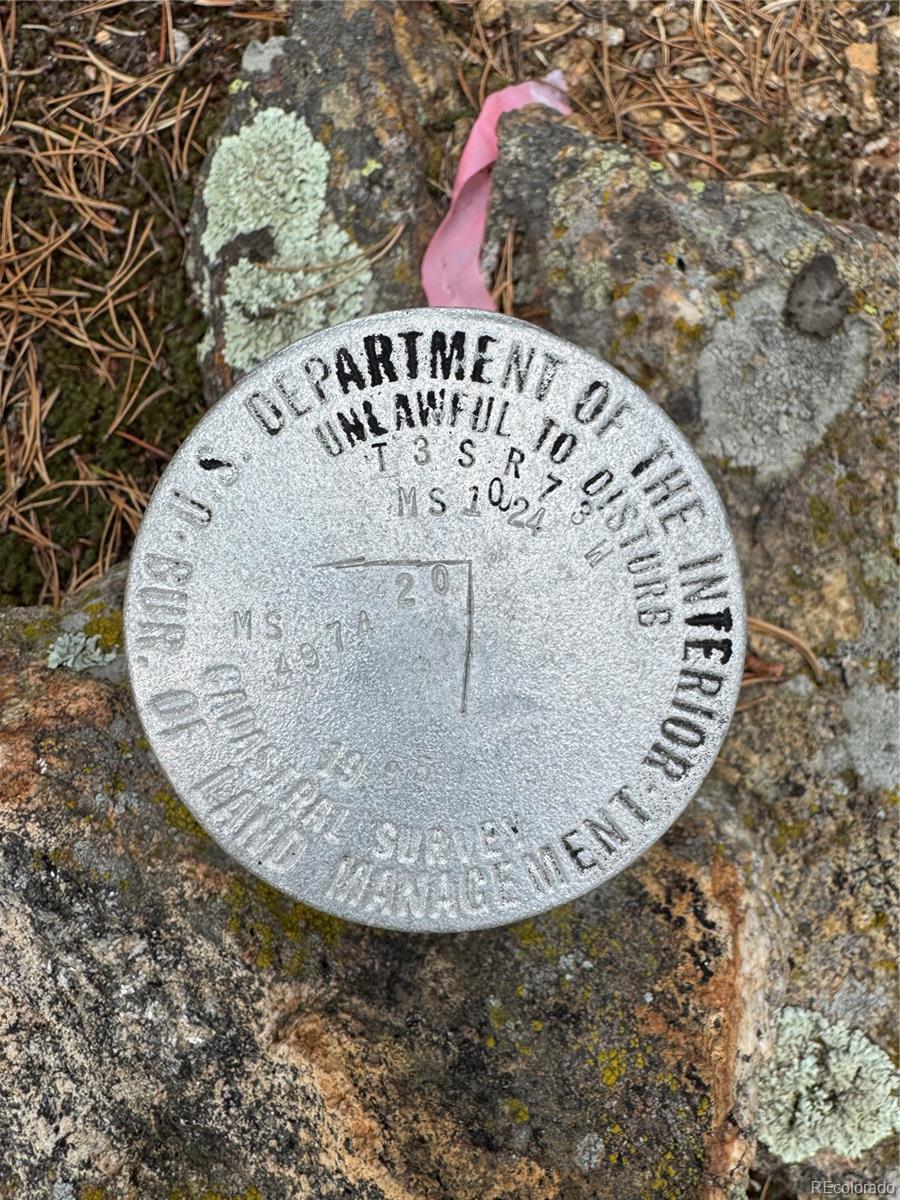 5 Roy Smith Road Central City, CO 80427 - Photo 13 of 13