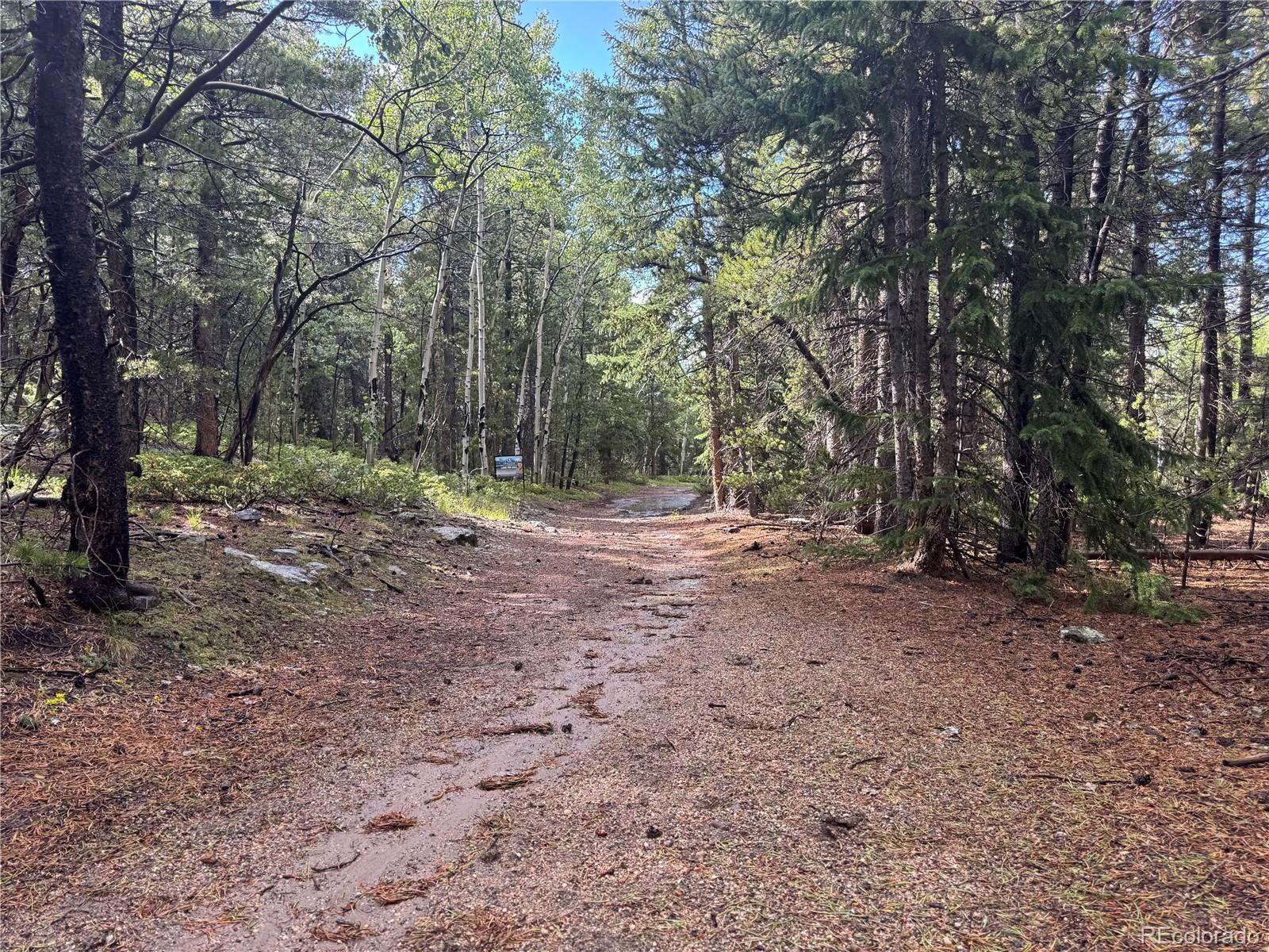 5 Roy Smith Road Central City, CO 80427 - Photo 5 of 13 a view of outdoor space with trees