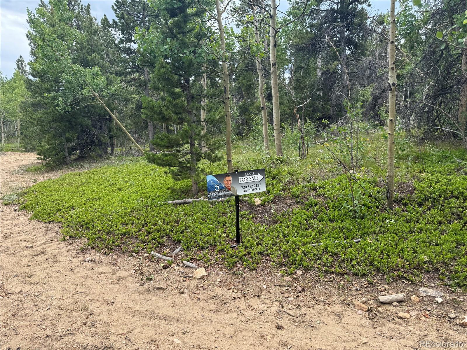 5 Roy Smith Road Central City, CO 80427 - Photo 7 of 13 a green field with lots of trees