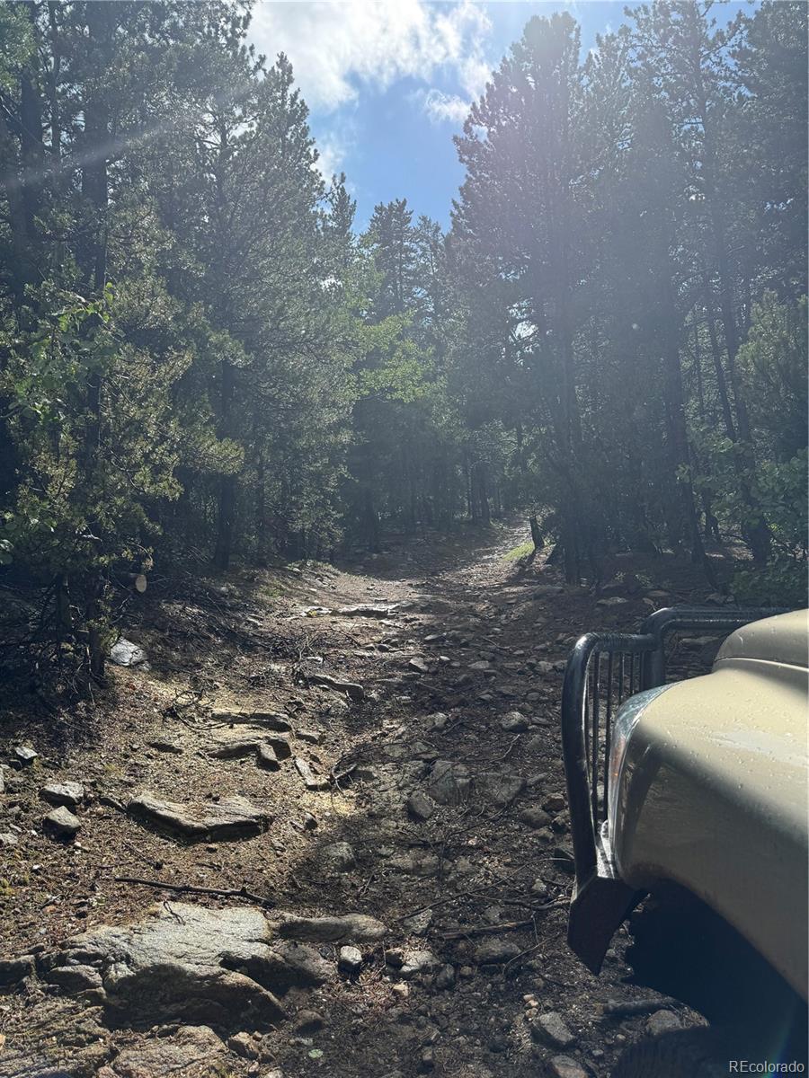 5 Roy Smith Road Central City, CO 80427 - Photo 9 of 13 a view of outdoor space