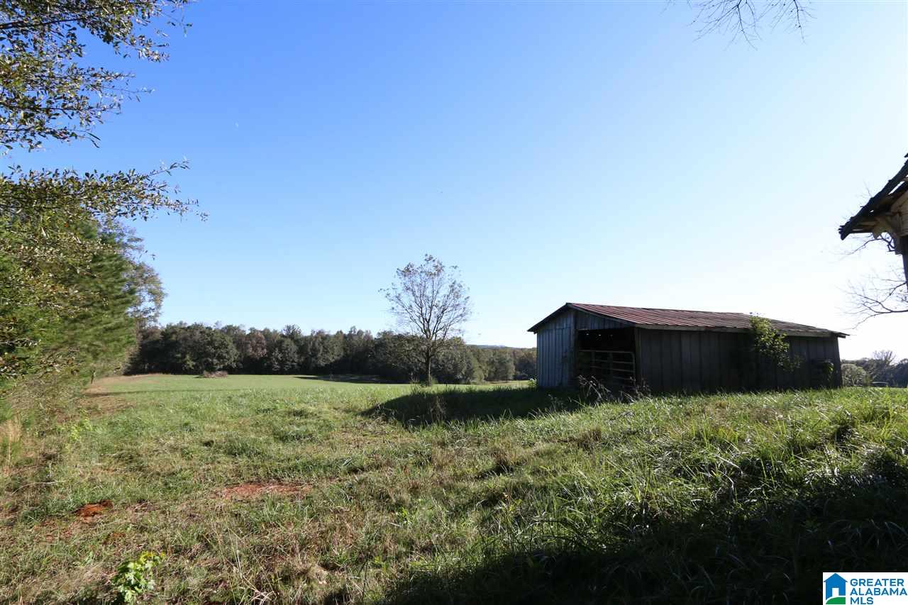 567 Dial Road Blountsville, AL 35031 - Photo 38 of 46