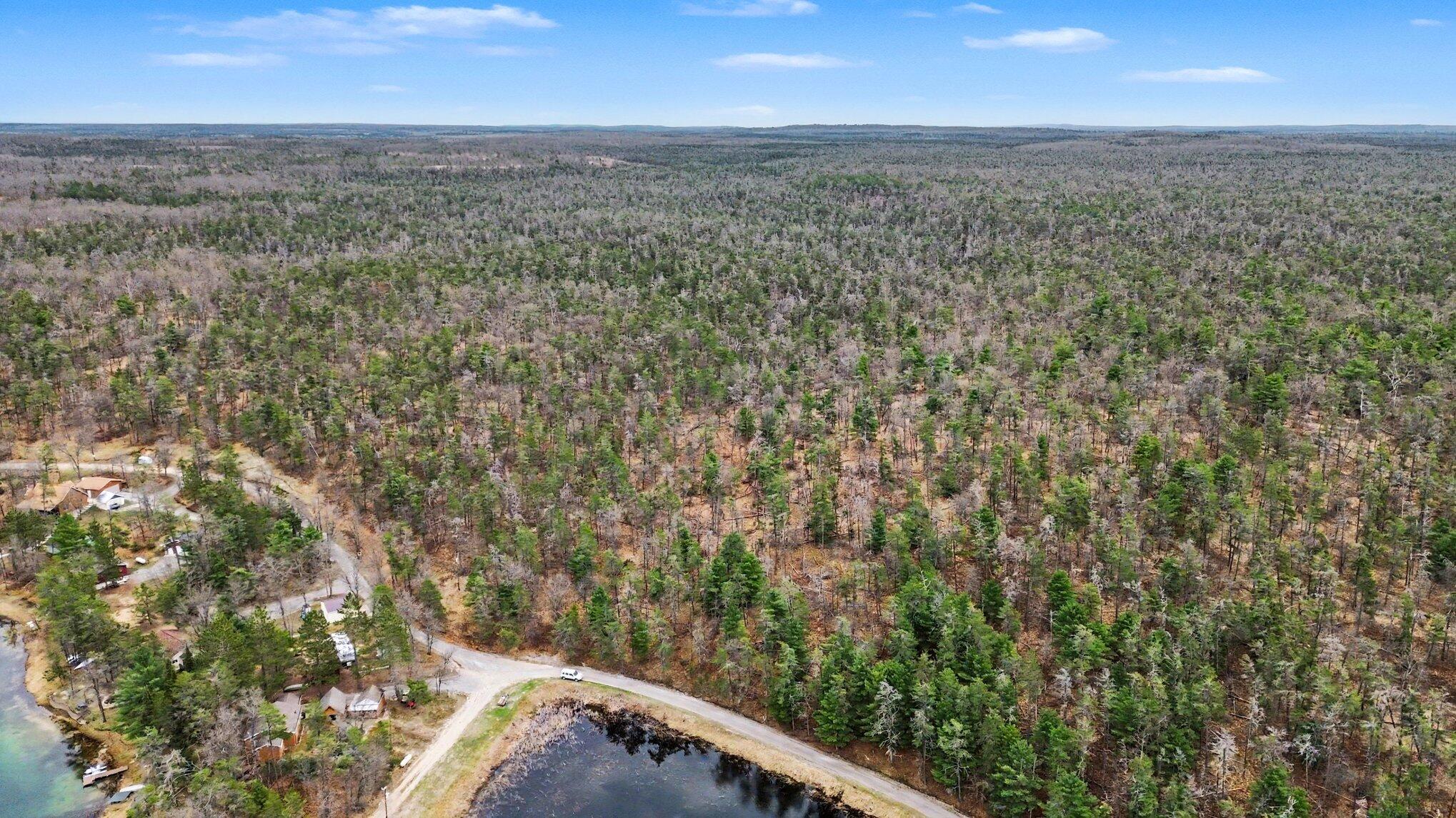 Gun Club Road Grayling, MI 49738 - Photo 3 of 17 002_dji_0335_469