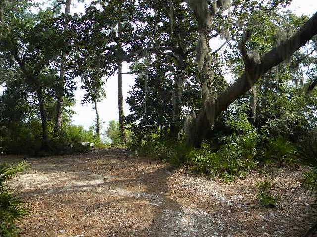 Lot 2 Magnolia Beach Road Santa Rosa Beach, FL 32459 - Photo 2 of 10 a view of a yard with plants and trees