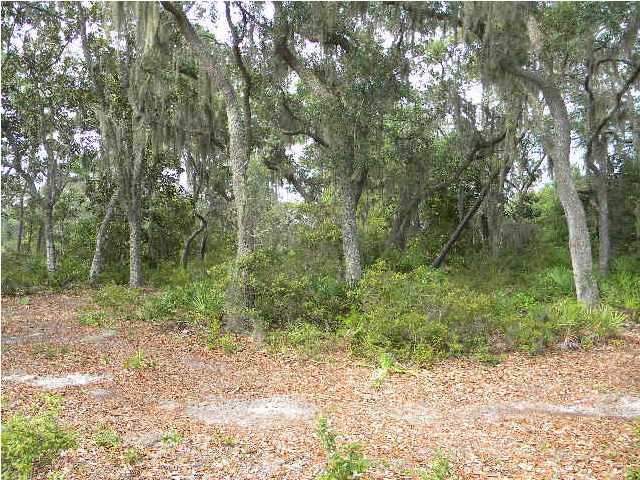 Lot 2 Magnolia Beach Road Santa Rosa Beach, FL 32459 - Photo 5 of 10 a view of outdoor space and green space