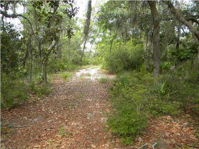 Lot 2 Magnolia Beach Road Santa Rosa Beach, FL 32459 - Photo 7 of 10 a view of a forest with trees in the background