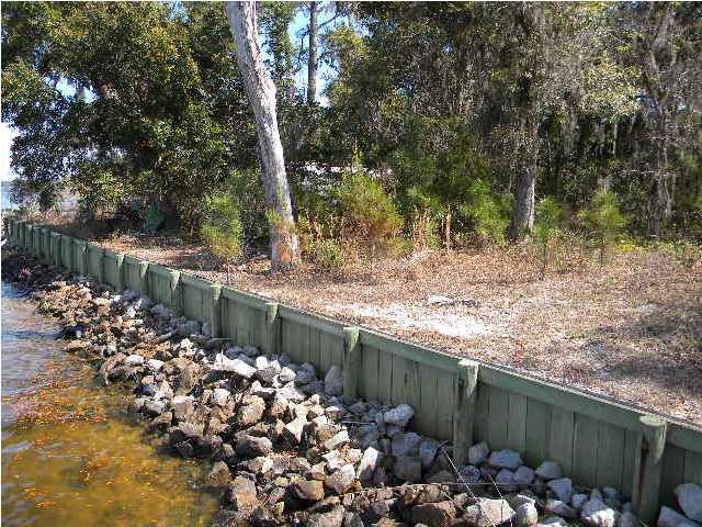 Lot 2 Magnolia Beach Road Santa Rosa Beach, FL 32459 - Photo 8 of 10 a garden covered with lots of plants and trees