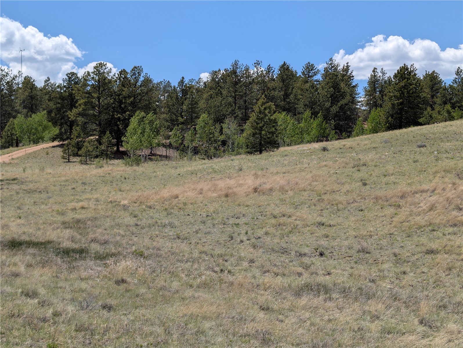 2053 Badger Creek Road Hartsel, CO 80449 - Photo 12 of 14 Gallery Image 12