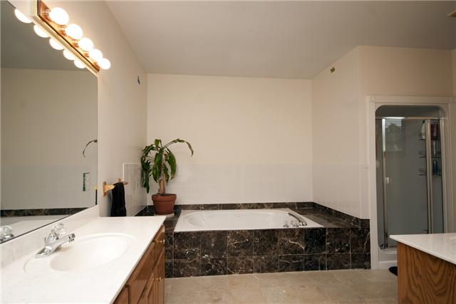 245 Quarry Road Mount Juliet, TN 37122 - Photo 12 of 19 This is the first view of the master bath, which shows the two vanities, jacuzzi tub and standing shower.