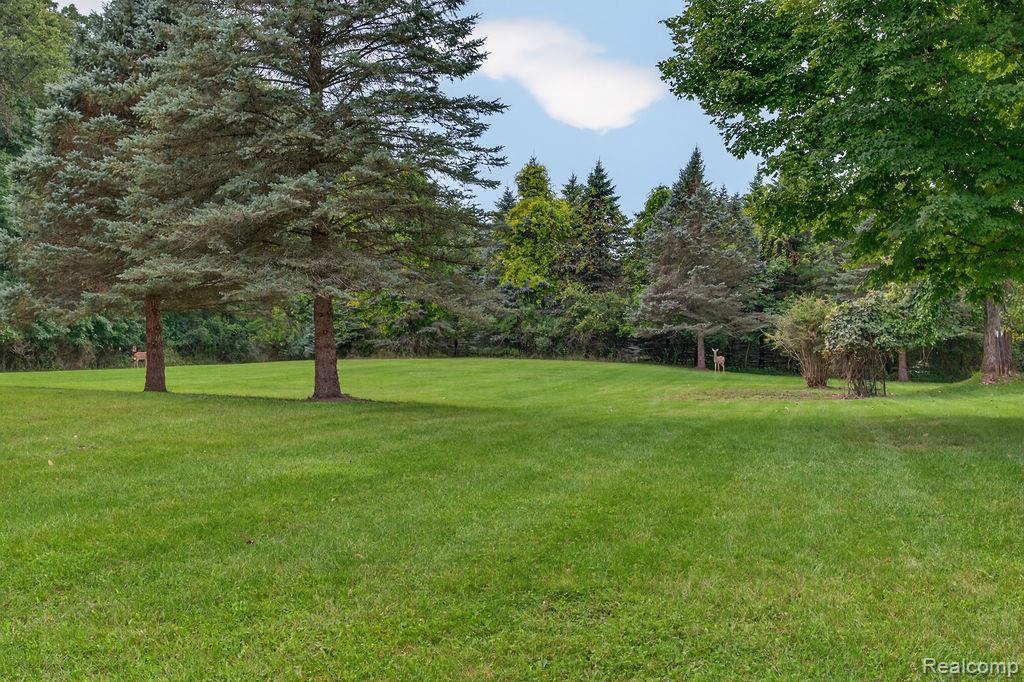 2524 Curtis Road Leonard, MI 48367 - Photo 69 of 93 Gallery Image 69