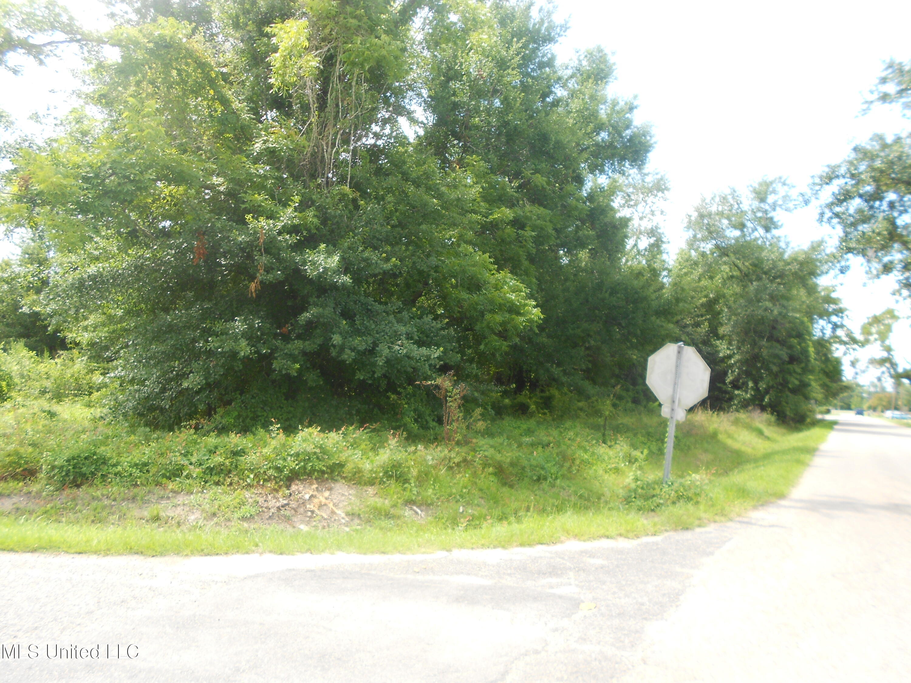 181 Alexander Road Long Beach, MS 39560 - Photo 1 of 4 DSCN0304