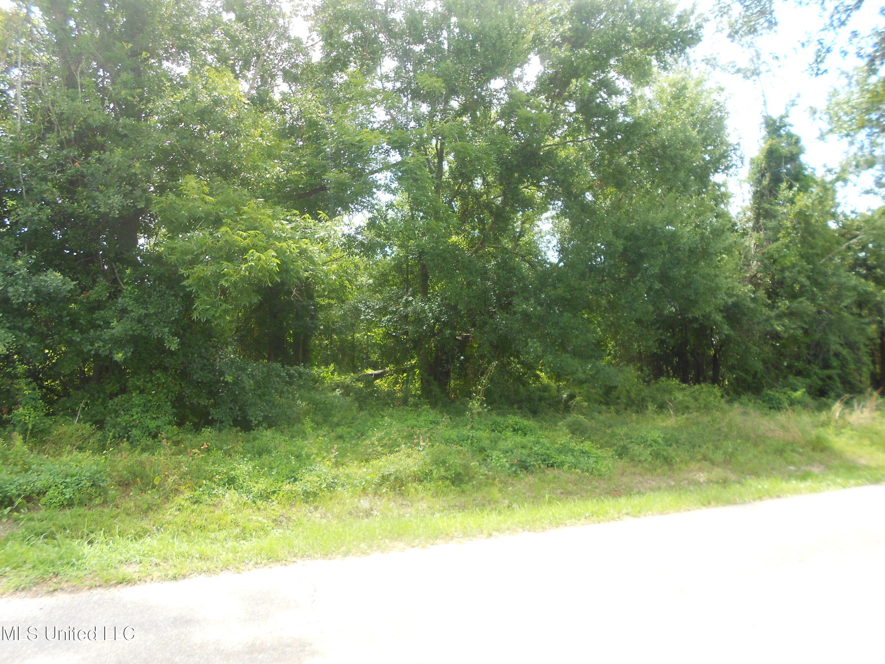 181 Alexander Road Long Beach, MS 39560 - Photo 3 of 4 DSCN0305