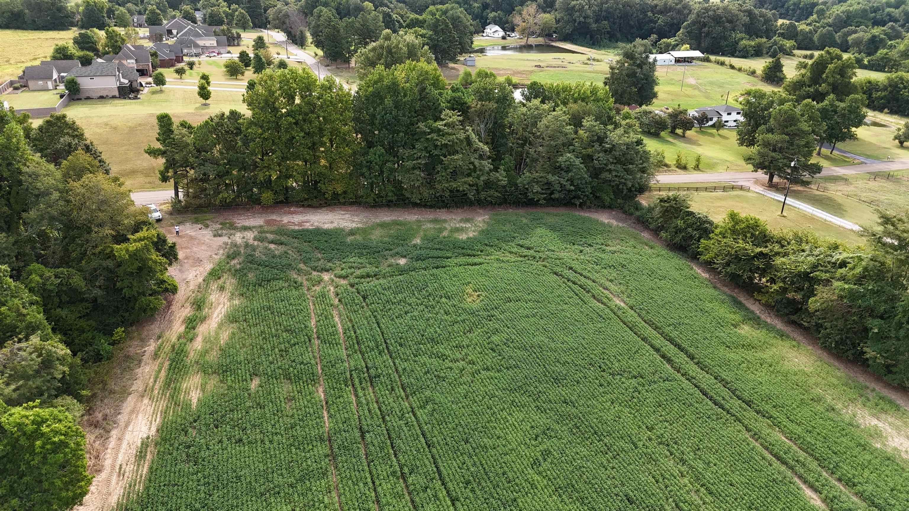 0 Sunnyside Road Brighton, TN 38011 - Photo 8 of 14 Gallery Image 8