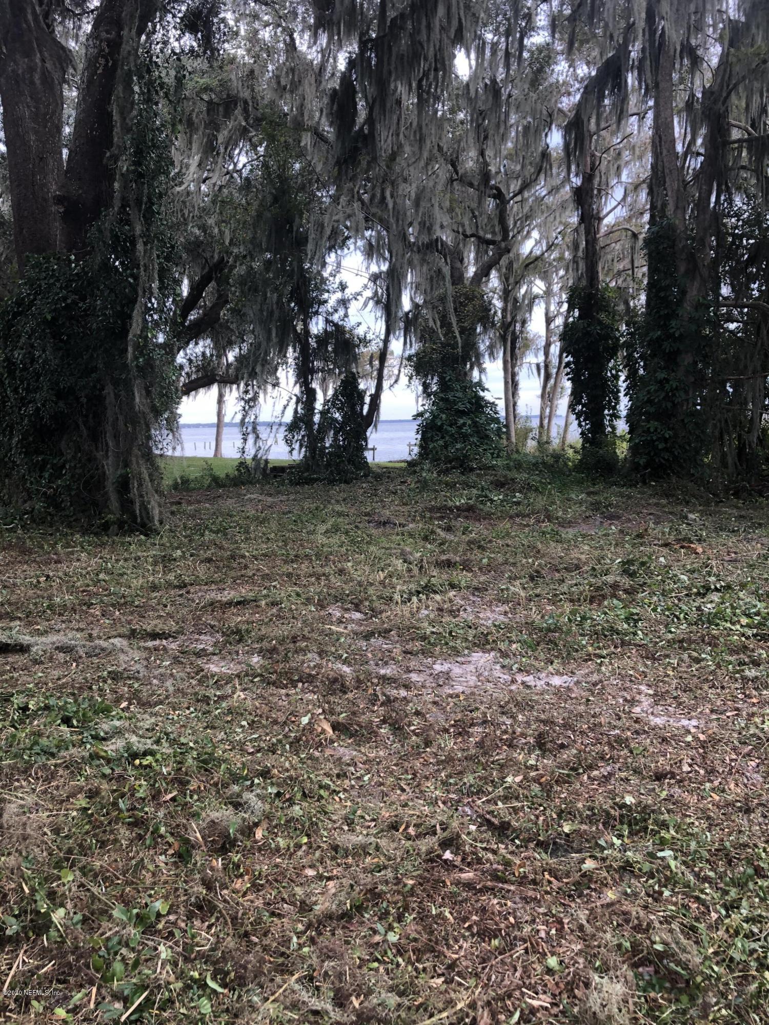 5573 Steamboat Road St. Augustine, FL 32092 - Photo 7 of 8 a view of a tree in the middle of a yard