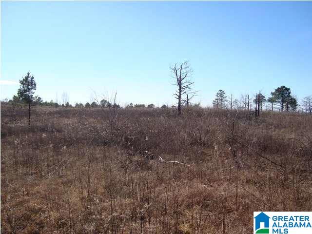 29 Highway Ac Al, Unit 33 Oneonta, AL 35121 - Photo 9 of 23