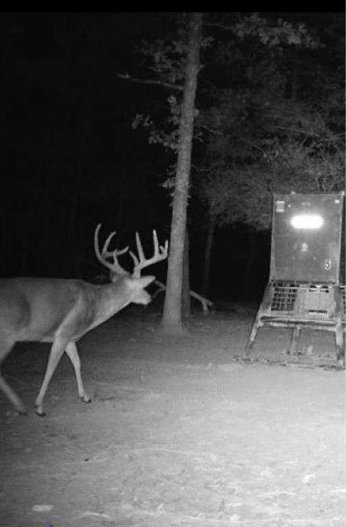 267 Private Road 6294 Palestine, TX 75801 - Photo 11 of 12 a view of a room with gym equipment