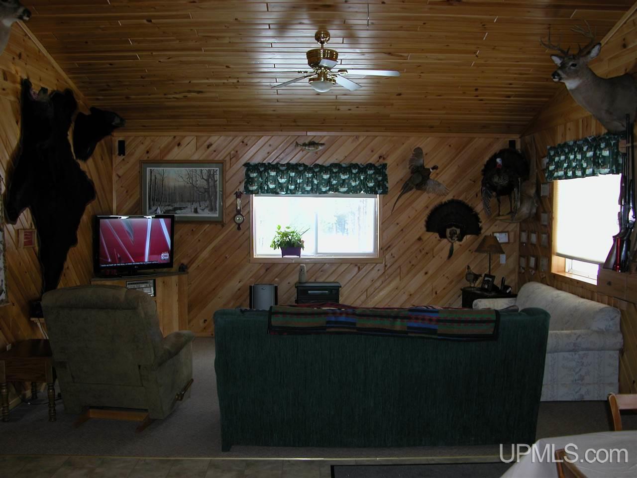 3701 Co Road Cornell, MI 49818 - Photo 4 of 28