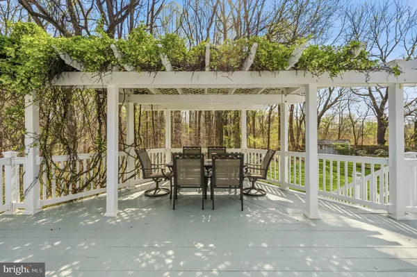 a view of a park with a large trees