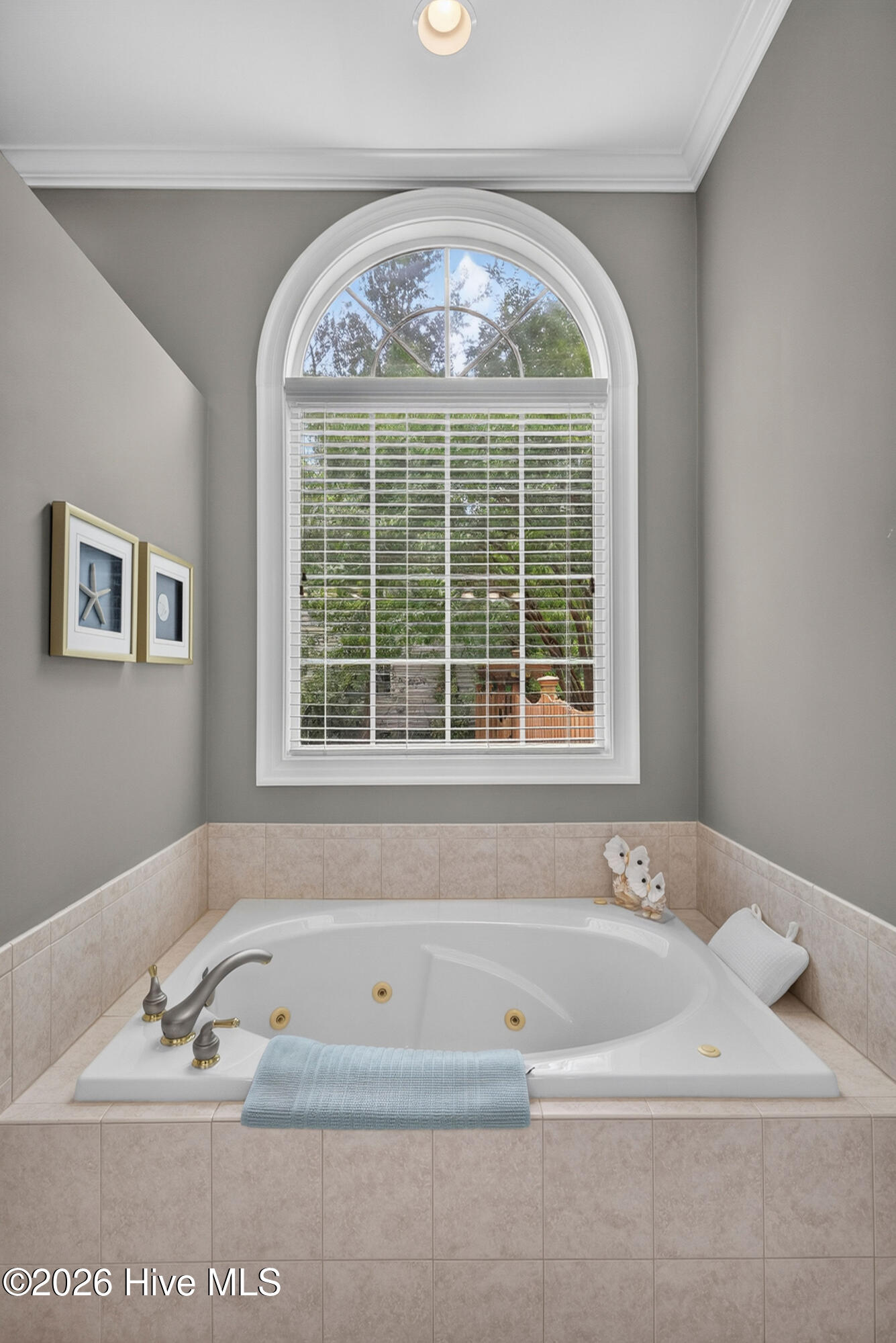 109 Currant Lane Hampstead, NC 28443 - Photo 20 of 58
