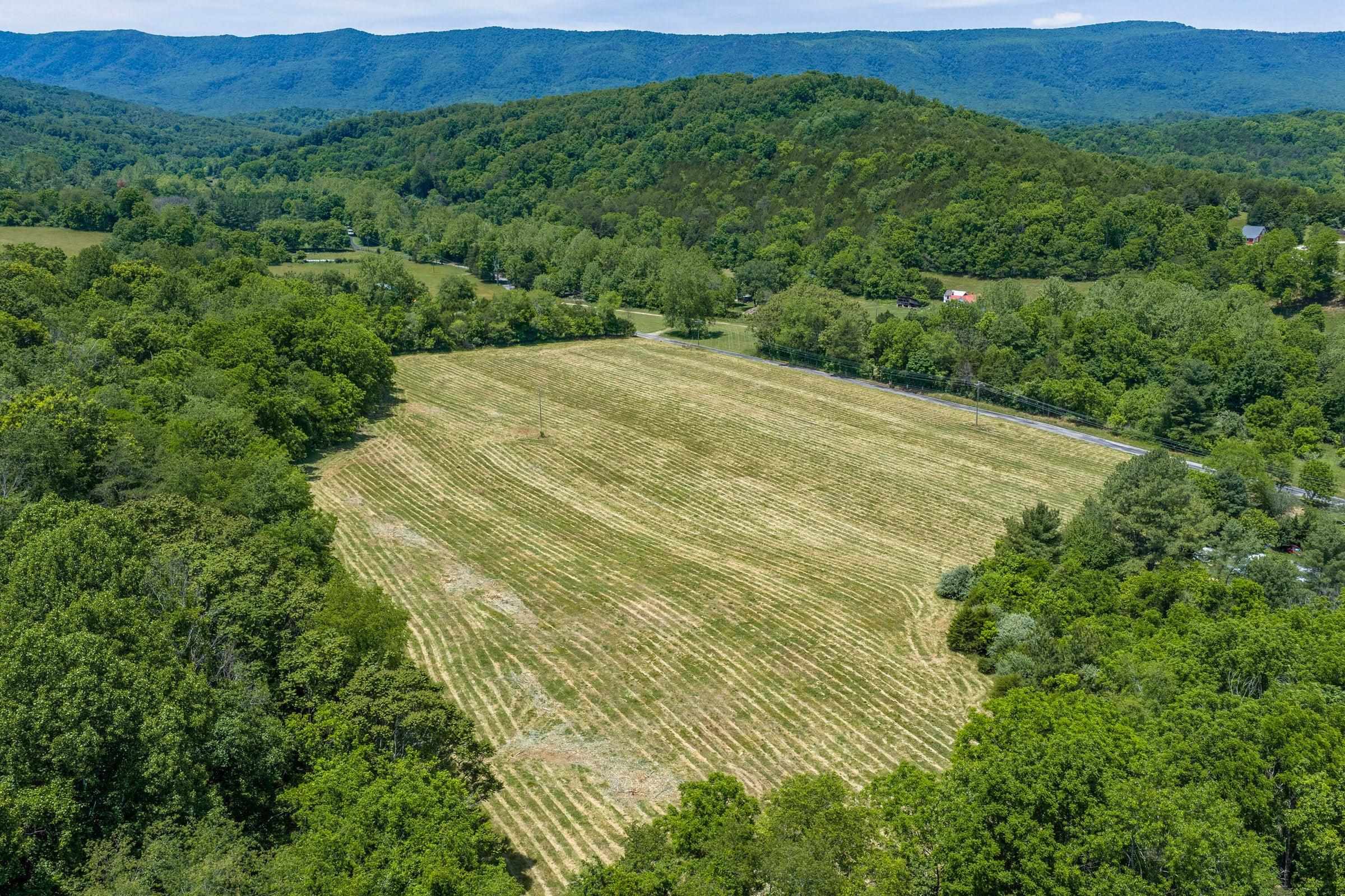 Tbd Blacks Creek Road Lexington, VA 24450 - Photo 4 of 6 Across from Blacks Creek