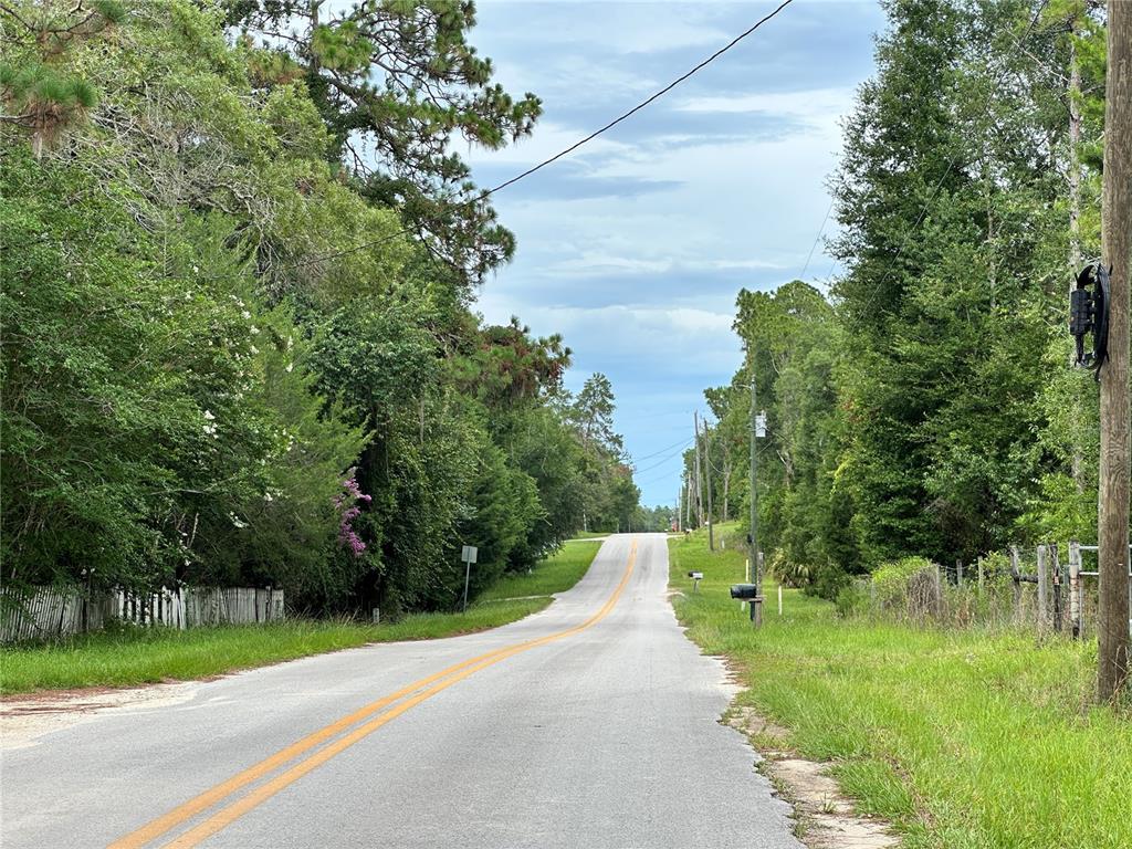 Tbd Northeast 65th Lane Bronson, FL 32621 - Photo 12 of 12