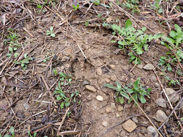 $250,000 | 4996 St Paul Road, Morristown, TN 37813