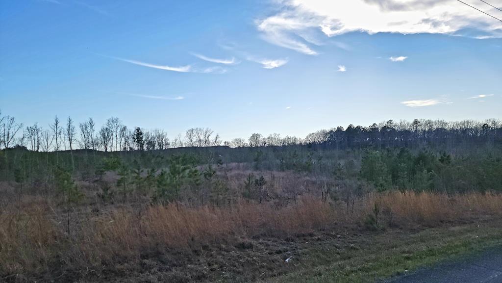 East Orgainsville Road Skipwith, VA 23968 - Photo 1 of 2 Main View