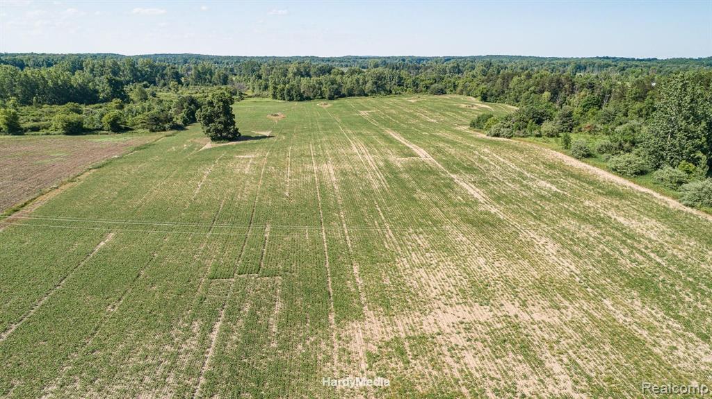0 Lum Road Attica, MI 48412 - Photo 12 of 24 Gallery Image 12