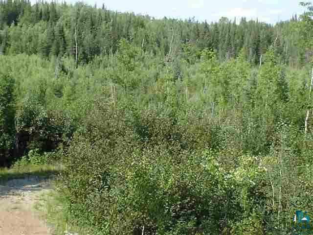 0 Mud Creek Road Ely, MN 55731 - Photo 2 of 2 Gallery Image 2
