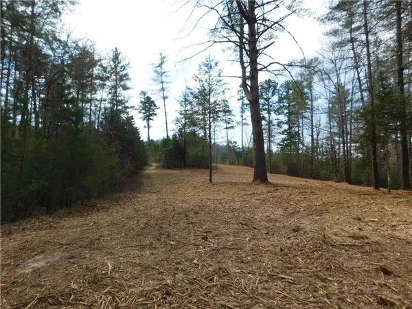 $135,000 | 110 Horseback Trail, Sunset, SC 29685