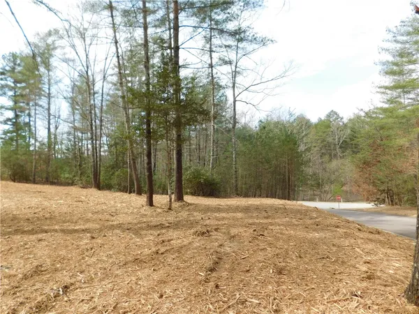 $135,000 | 110 Horseback Trail, Sunset, SC 29685