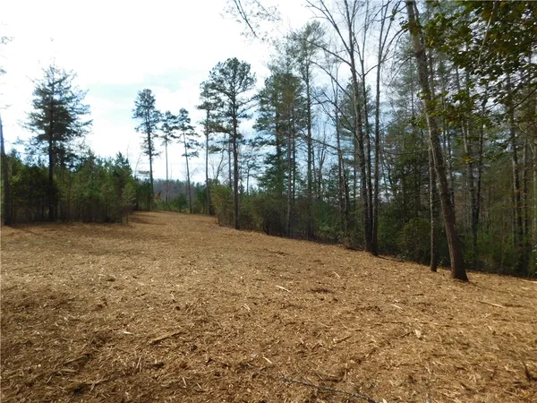 $135,000 | 110 Horseback Trail, Sunset, SC 29685