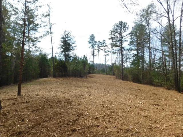 $135,000 | 110 Horseback Trail, Sunset, SC 29685