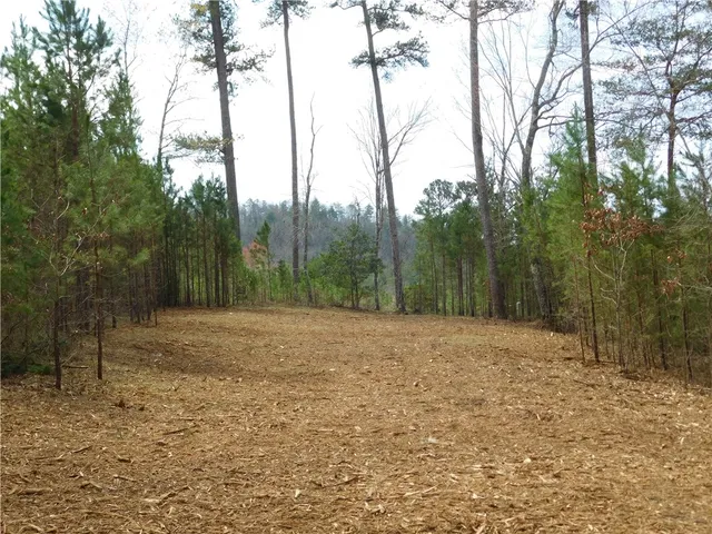 $135,000 | 110 Horseback Trail, Sunset, SC 29685