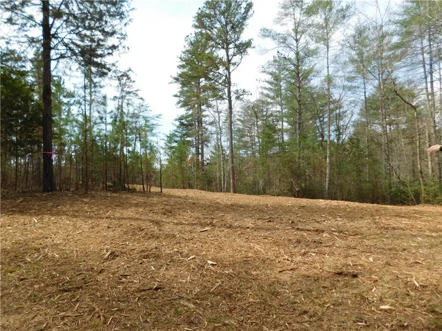 $135,000 | 110 Horseback Trail, Sunset, SC 29685