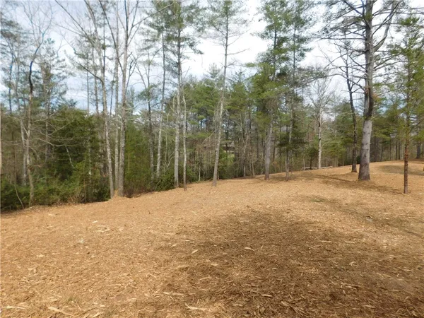 $135,000 | 110 Horseback Trail, Sunset, SC 29685